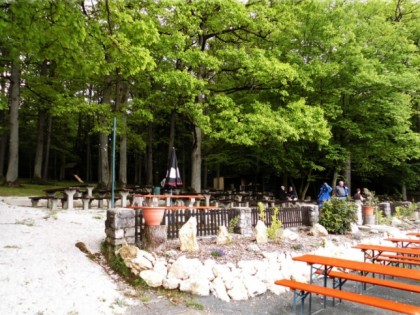 照片: Almrauschh&amp;uuml;tte Amlingstadt
